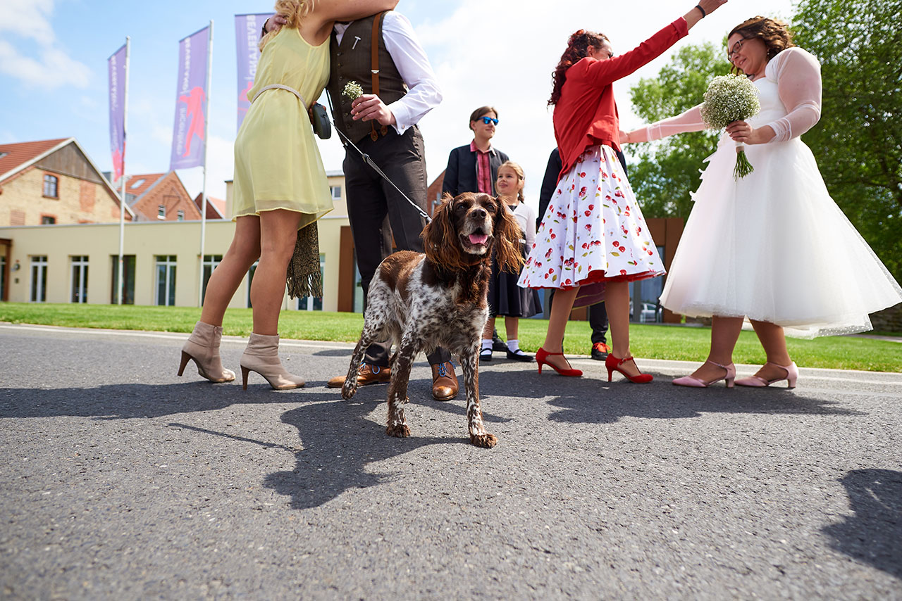 hochzeit beverland