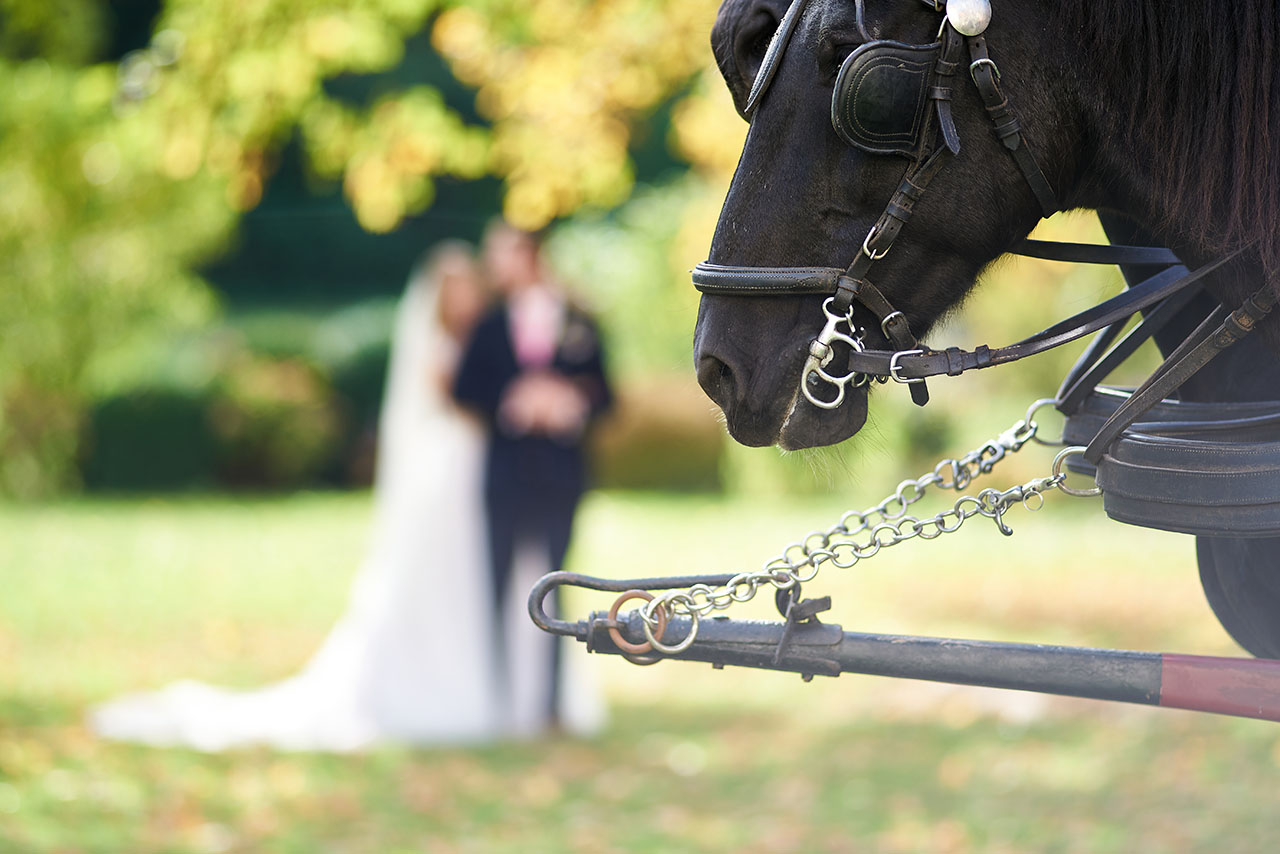 hochzeit Schloss Freckenhorst